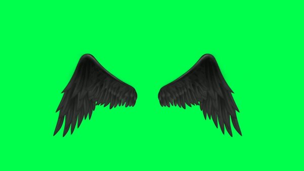 Чёрные Крылья на зелёном фоне