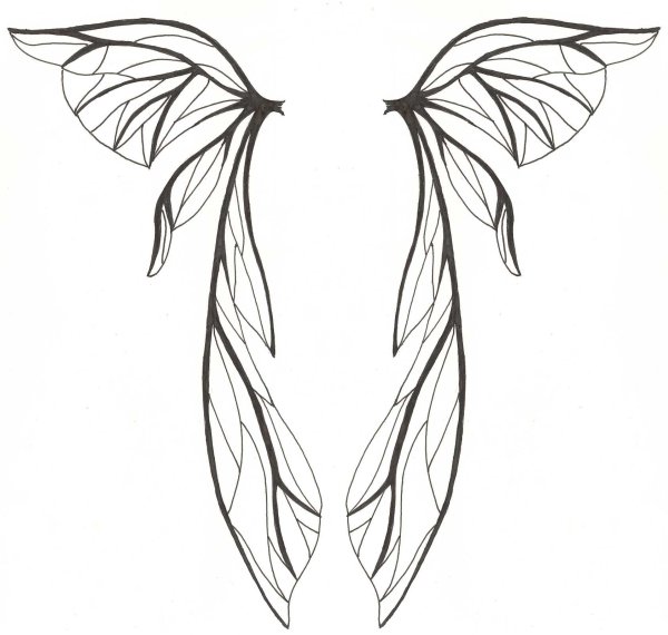 Крылья бабочки