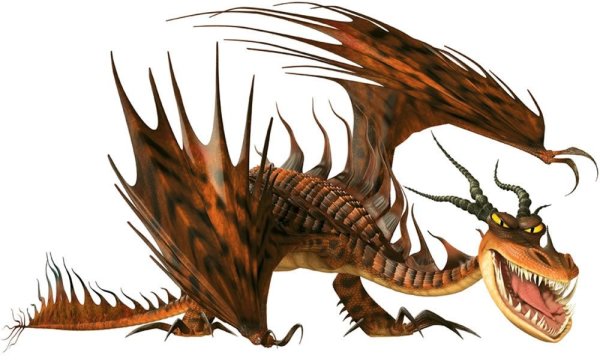 Кривоклык дракон порода