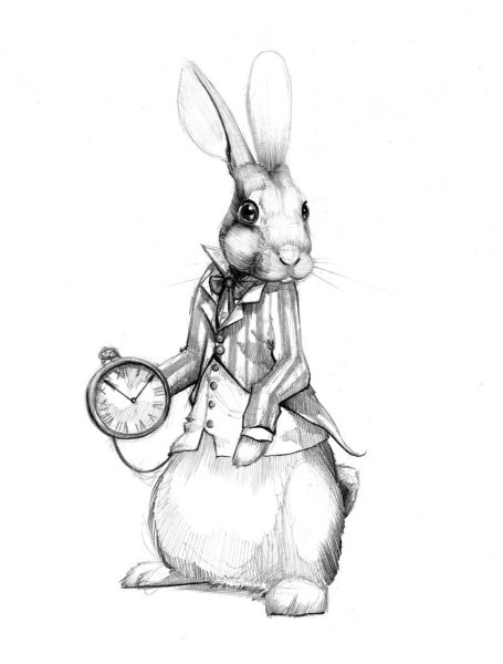 Кролик с Алисы в стране чудес в карандаше