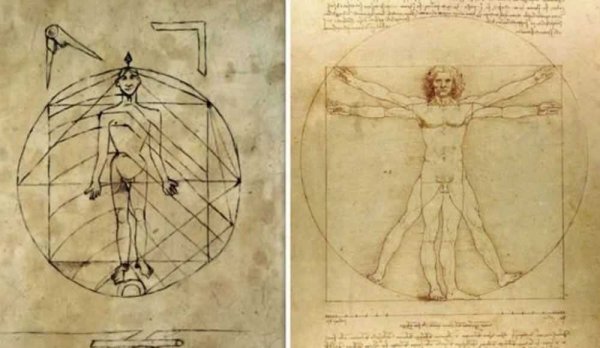 Анатомические штудии Леонардо да Винчи