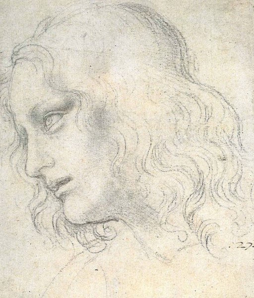 Зарисовки Леонардо да Винчи