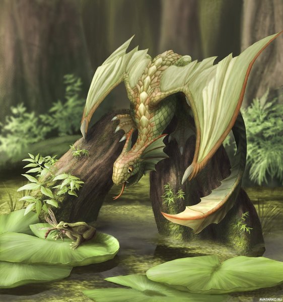 Рисунки лесной дракон