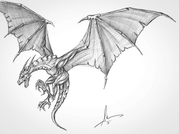 Рисунки драконов