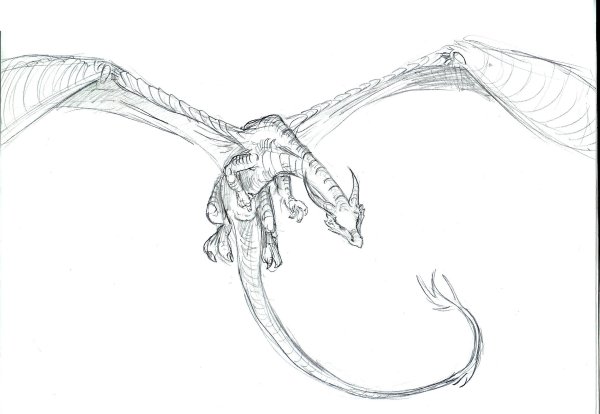 Рисунки летающий дракон