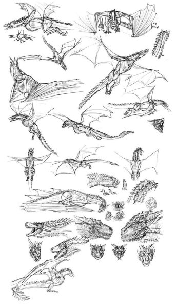 Анатомия драконов для рисования