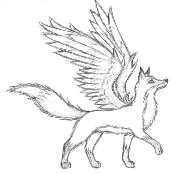 Рисунки карандашом волки с крыльями