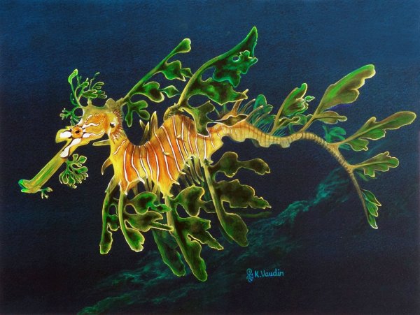Рисунки лиственный морской дракон