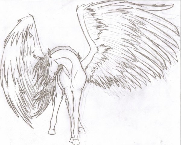 Лошадь с крыльями карандашом
