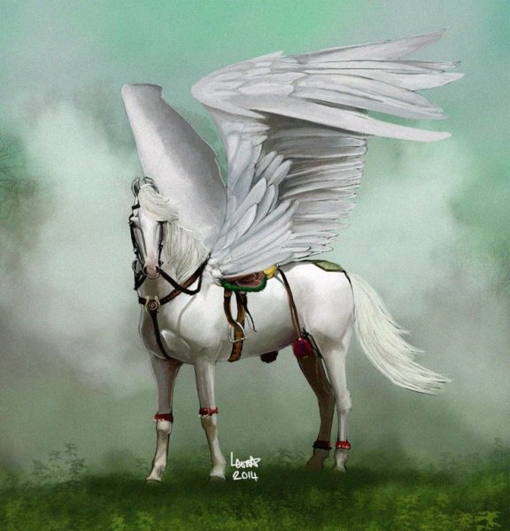Лошадь ангел