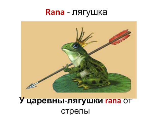 Царевна лягушка лягушка со стрелой
