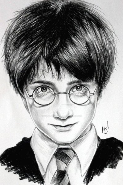Портрет Гарри Поттера для срисовки
