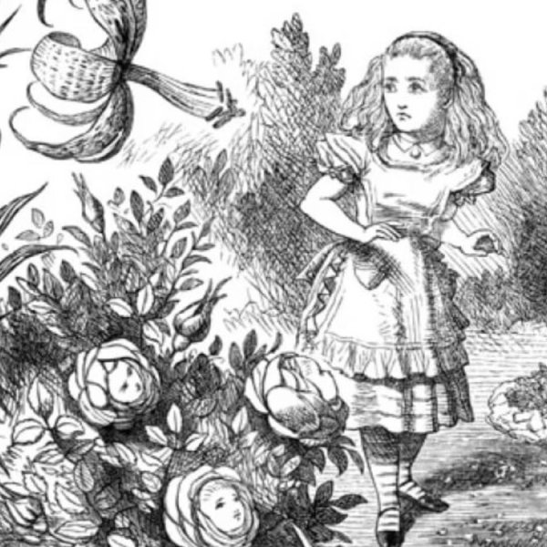 Джон Тенниел иллюстрации Алиса в стране чудес