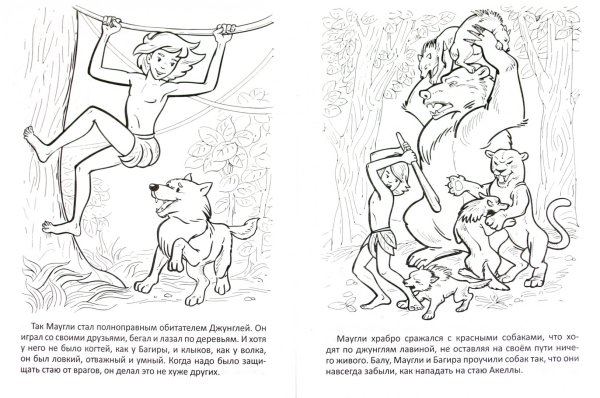 Братья Маугли иллюстрации к книге