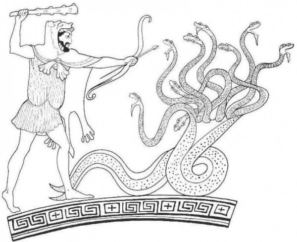 Лернейская гидра и Геракл иллюстрация