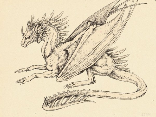 ВИВЕРН дракон мифология