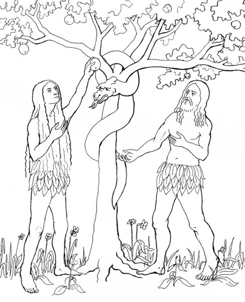 Иллюстрации грехопадение Адама и Евы