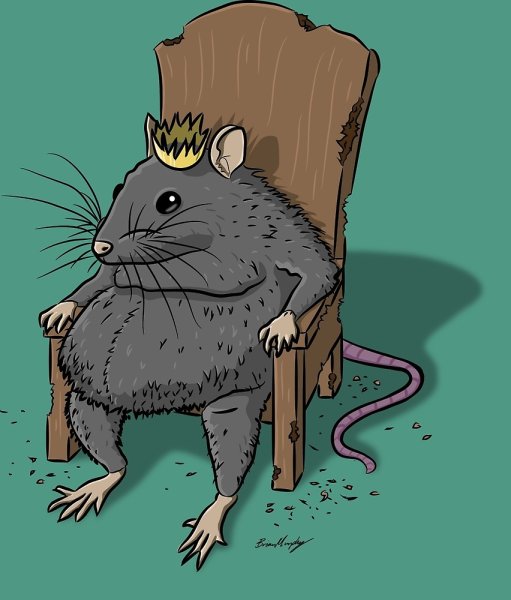 Королева крыс