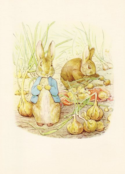 Кролик Питер иллюстрации Беатрис Поттер