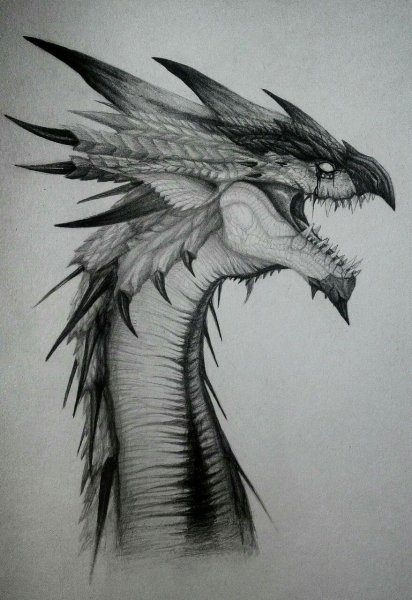Голова дракона