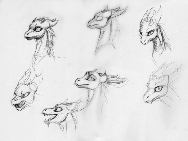 Анатомия морды дракона для рисования