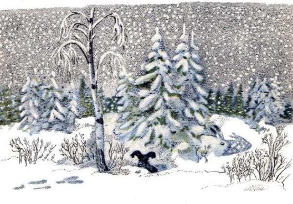 Иллюстрация к сказке Бианки заяц Косач медведь и и дед Мороз