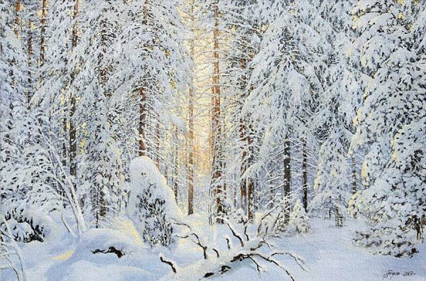 Зимний лес Евгений Гавлин