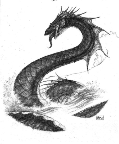 Рисунки морской дракон