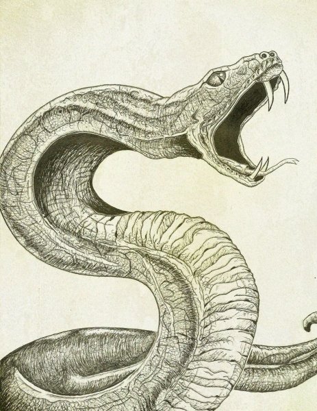 Змея Кобра Нагайна