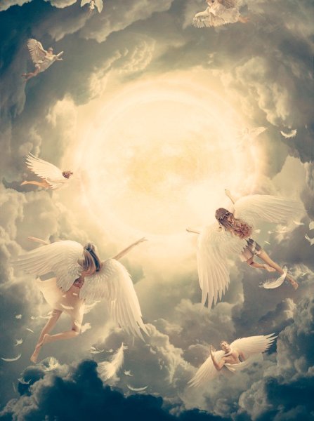 Ангелы летают