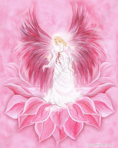 Красивого розового ангела