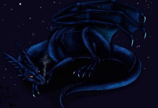Ночной дракон
