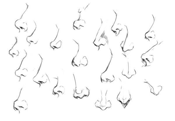Референсы носа для рисования