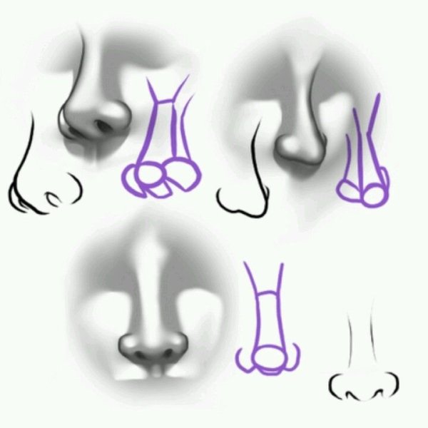 Как рисовать нос человека