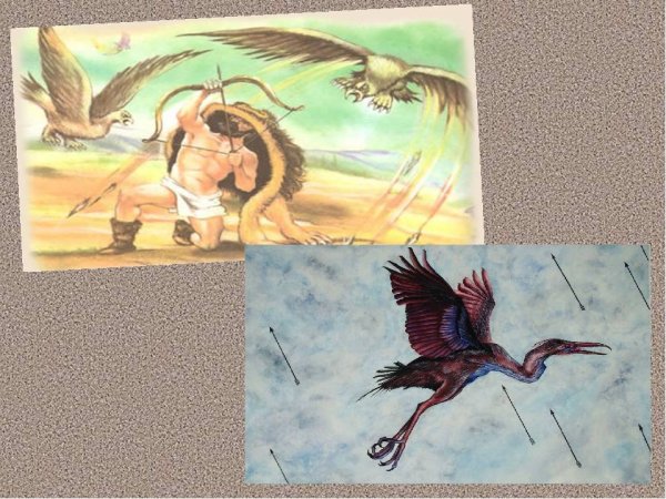 Рисунки о подвиге геракла стимфалийские птицы