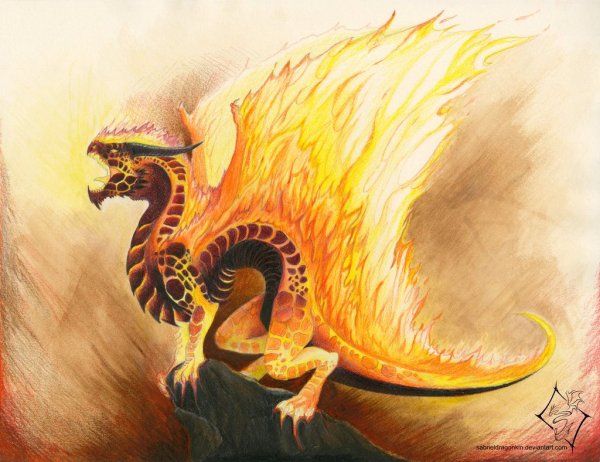 Рисунки огненный дракон драконов