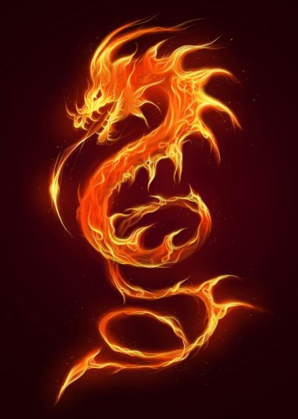Огненный дракон на черном фоне