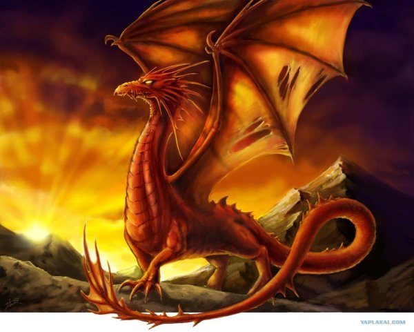 Золотой огнедышащий дракон