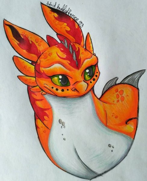 Оранжевая фурия дракон