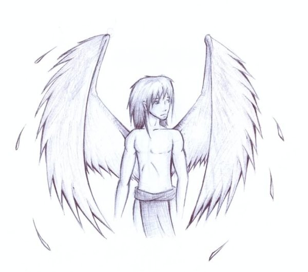 Рисунки для срисовки Крылья