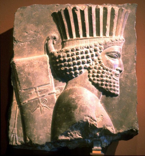 Дарий 1 царь Персии