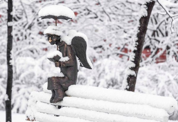 Питерский ангел в Измайловском саду зимой
