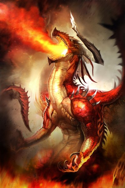 Огненный дракон драгон