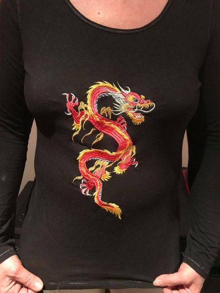 Китайский дракон вышивка гладью
