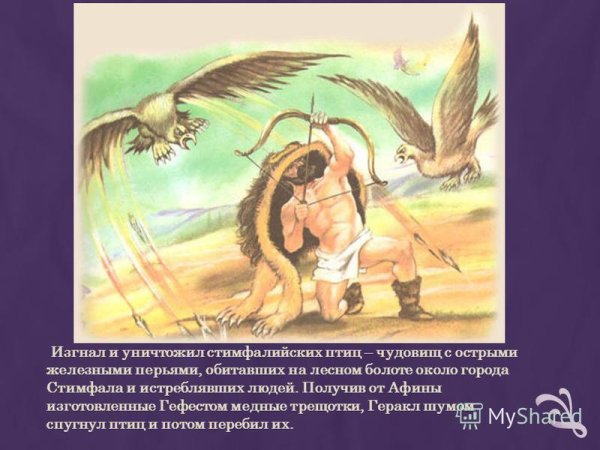 Мифы древней Греции Стимфалийские птицы