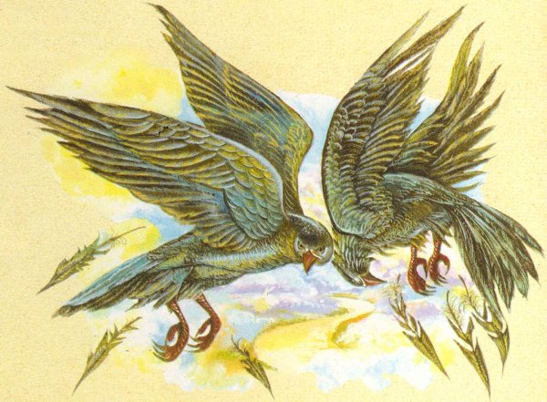 Рисунки подвиг геракла стимфалийские птицы