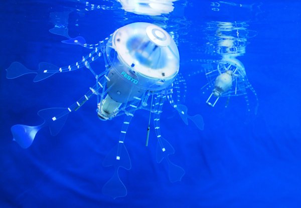 Медуза Бионика