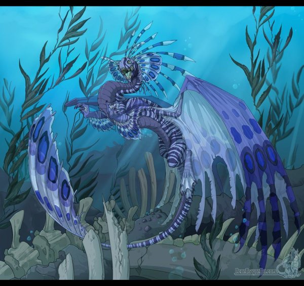 Морской дракон (Draco Marinus)