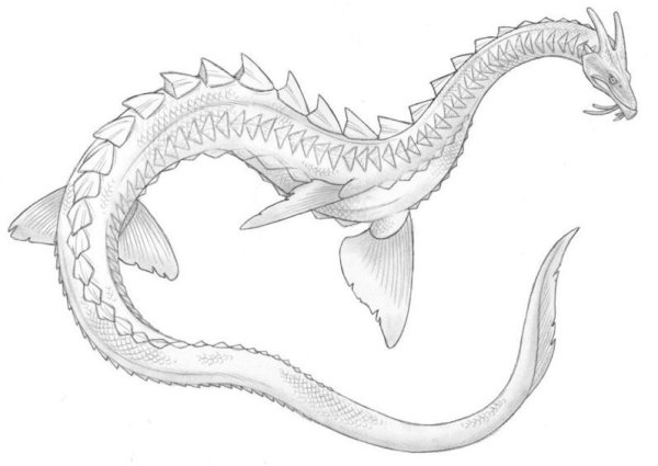 Рисунки подводного дракона