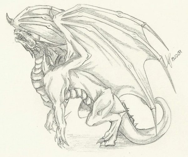 Рисунки полный дракона